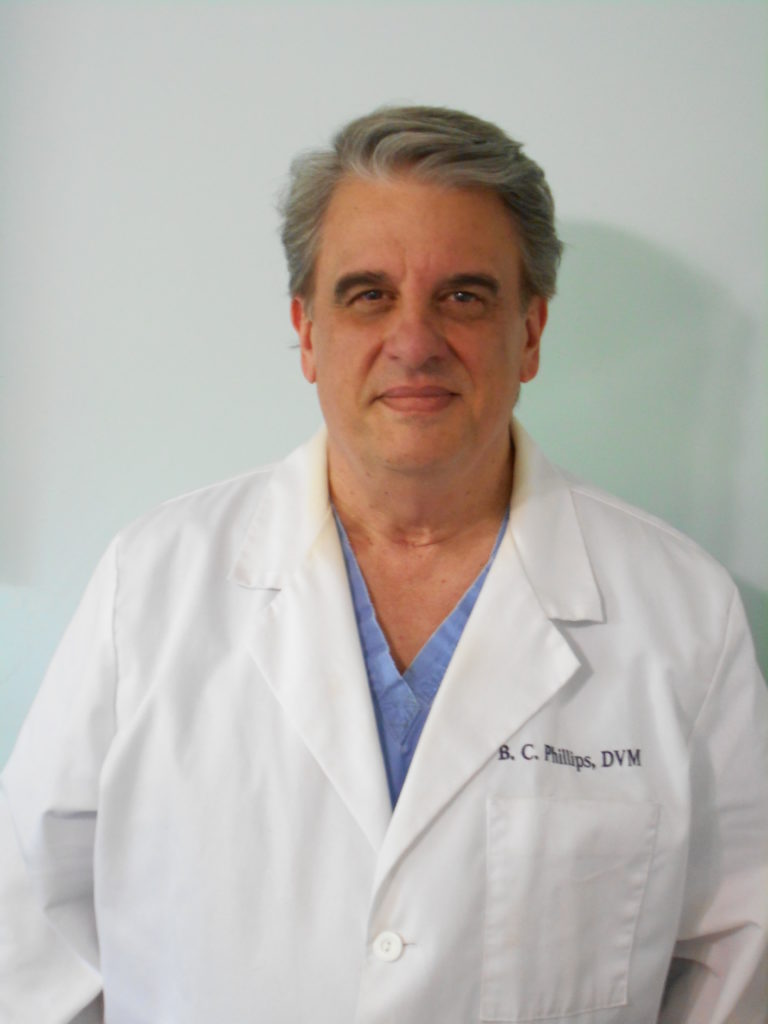 dr b veterinary