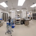 Treatment room at Back Mountain Veterinary Hospital