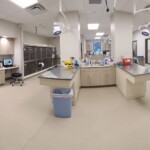 Treatment room at Back Mountain Veterinary Hospital