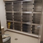 Cat ward at Back Mountain Veterinary Hospital