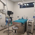 Dental suite at Back Mountain Veterinary Hospital