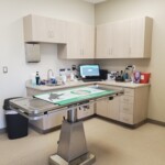Dog exam room at Back Mountain Veterinary Hospital