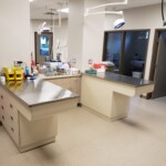 Treatment tables at Back Mountain Veterinary Hospital