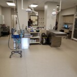 Prep side of Treatment and surgery prep room at Back Mountain Veterinary Hospital